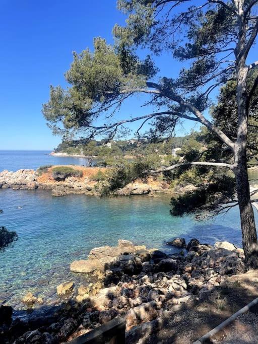 Appartement Au Coeur De Bandol Exterior foto